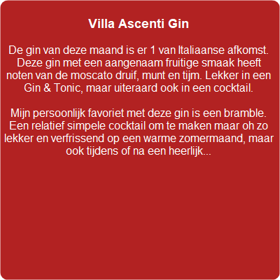 Gin van de maand, cocktailbar huren, cocktailbar op locatie